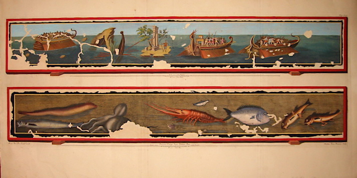 Vanni Nicola (Affresco con scena navale e pesci) 1755 ca. Napoli